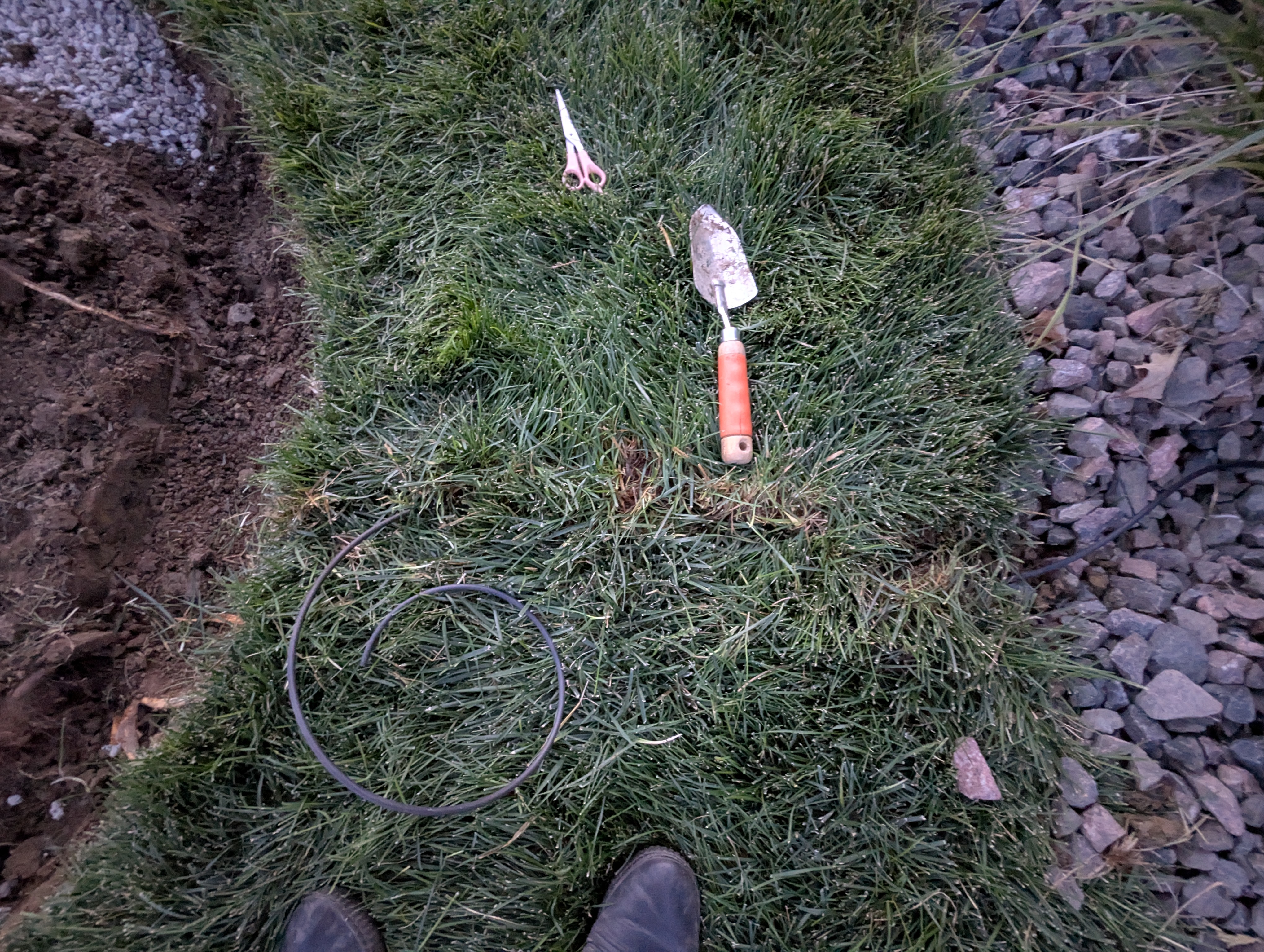 Tree Ring, Home Improvement, Morrison, Colorado